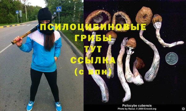бошки Бугульма