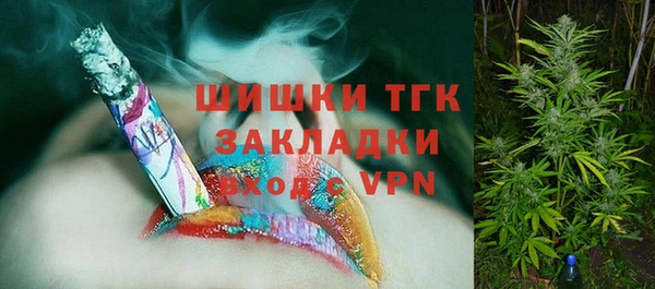 ECSTASY Бородино
