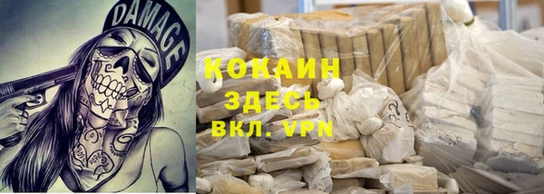 ECSTASY Бородино