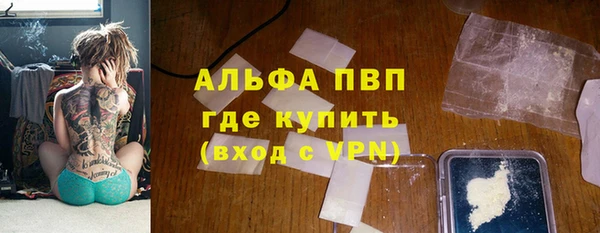 ECSTASY Бородино