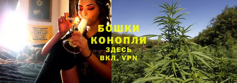 где купить наркотик  Вихоревка  Бошки марихуана OG Kush 